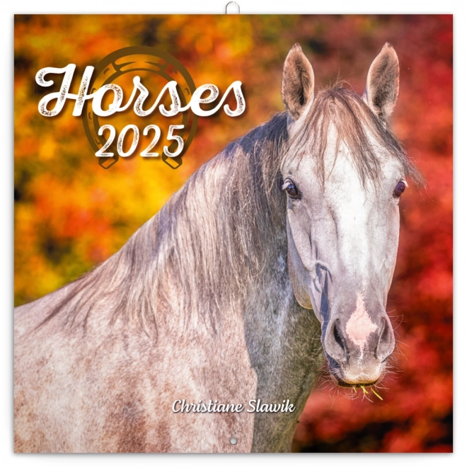 NOTIQUE Notitiekalender Paarden – Christiane Slawik 2025, 30 x 30 cm