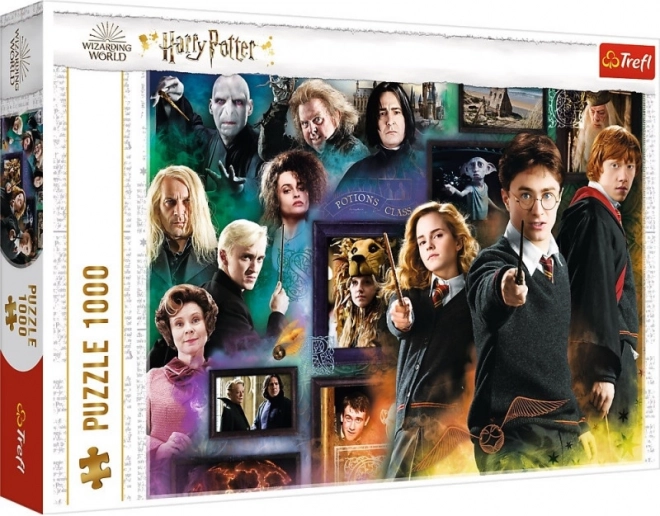 Detailed collage of HARRY POTTER characters