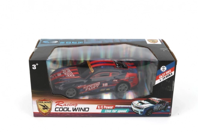 RC-Auto mit Fernsteuerung 1:24