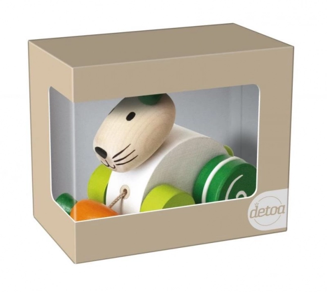 Konijn met wortel