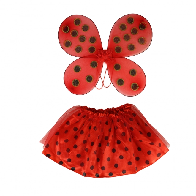 Kindercostuum tutu rok lieveheersbeestje met vleugels