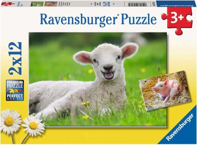 Two adorable jigsaws in one box