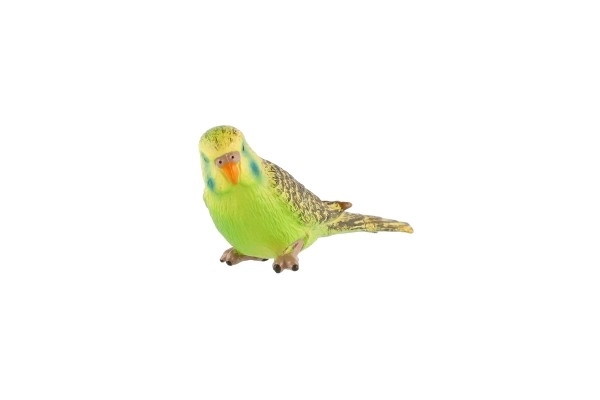 Parkiet met golvende veren zooted plastic 9cm in zakje