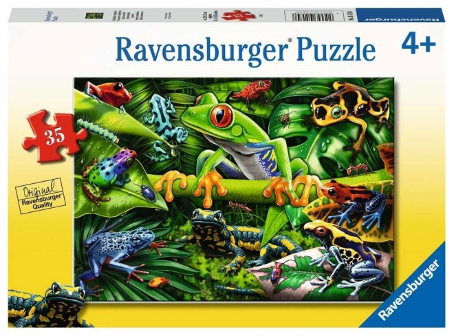 Puzzle Amazing Amphibians 35 Pieces
