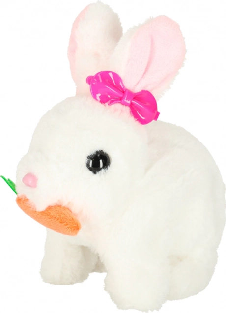 Lapin Interactif avec Carotte