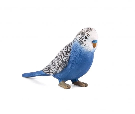 Mojo Blauwe Grasparkiet