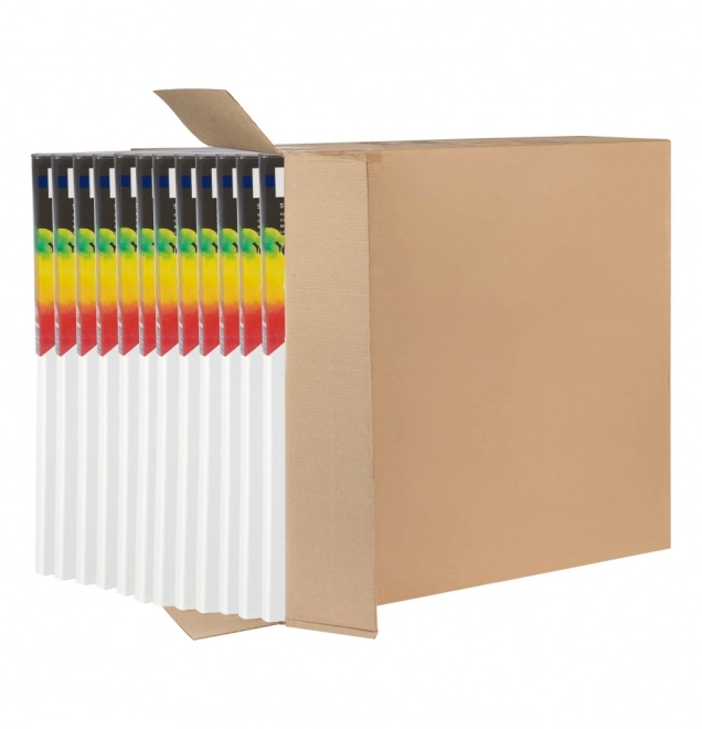 Schildercanvas 30x30 100% katoen