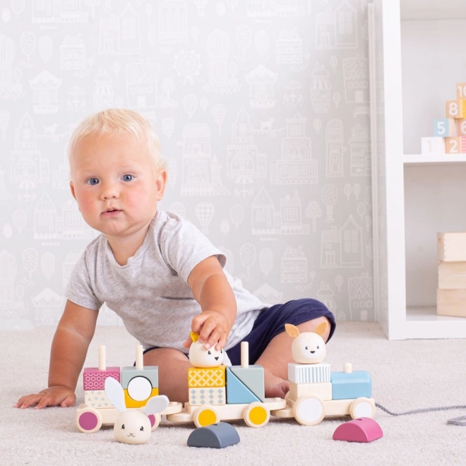Bigjigs Baby Houten Trein met Dieren