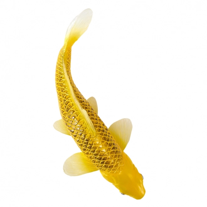 Mojo karper koi Matsuba