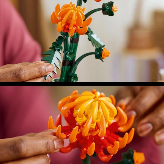 Realistic details and growth stages
