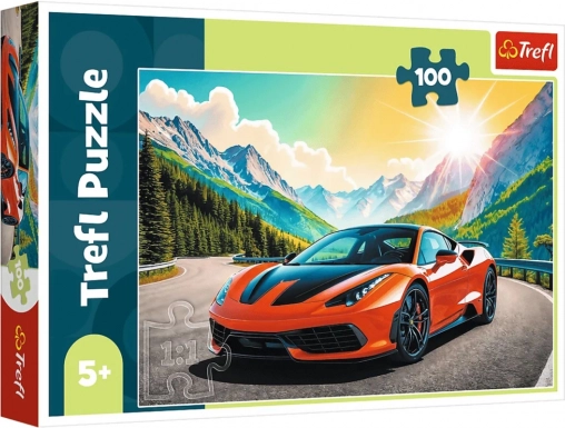 Puzzel 100 stukjes – race tegen de klok Trefl