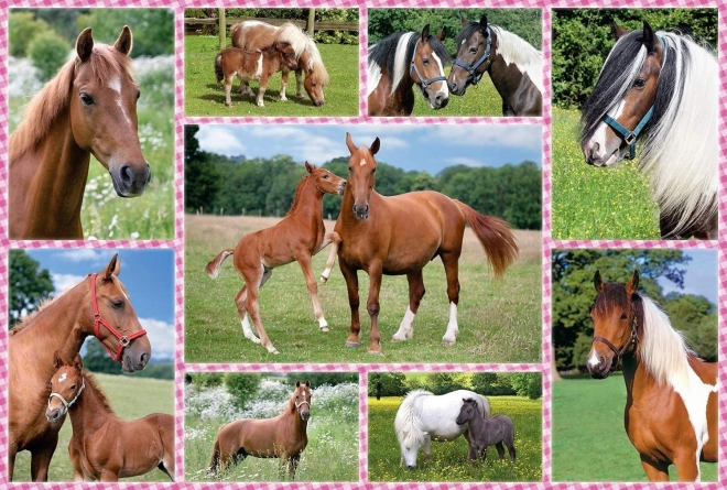 Puzzle Beautiful Horses 150 Pieces SCHMIDT