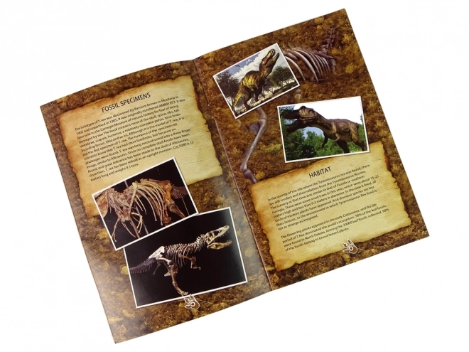 Educatieve set opgravingen DINOSAURUS TYRANOSAURUS