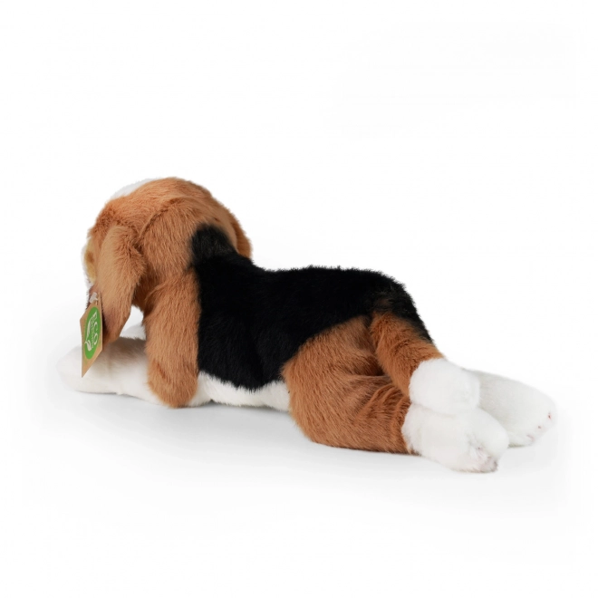 Pluchen beagle 20 cm milieuvriendelijk