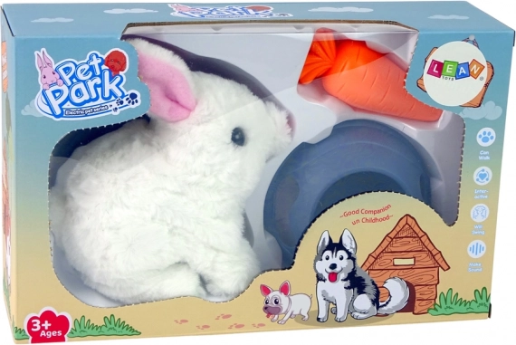 Hopping, ear movement, and cute sounds