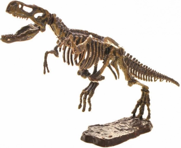 Bouwbaar 3D‑skelet van T‑Rex