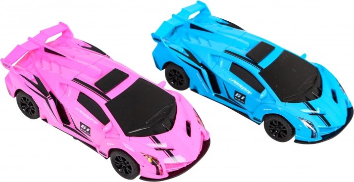 Twee raceauto’s