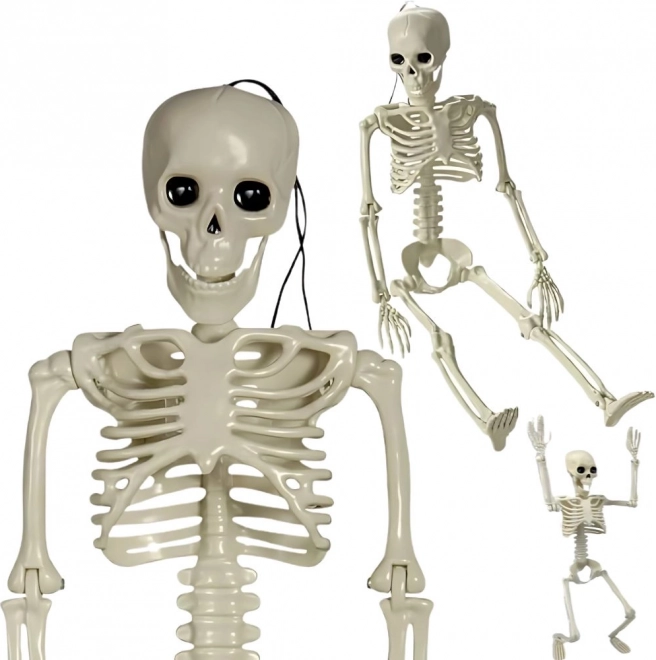 hangende kunststof skelet 40 cm – halloweendecoratie