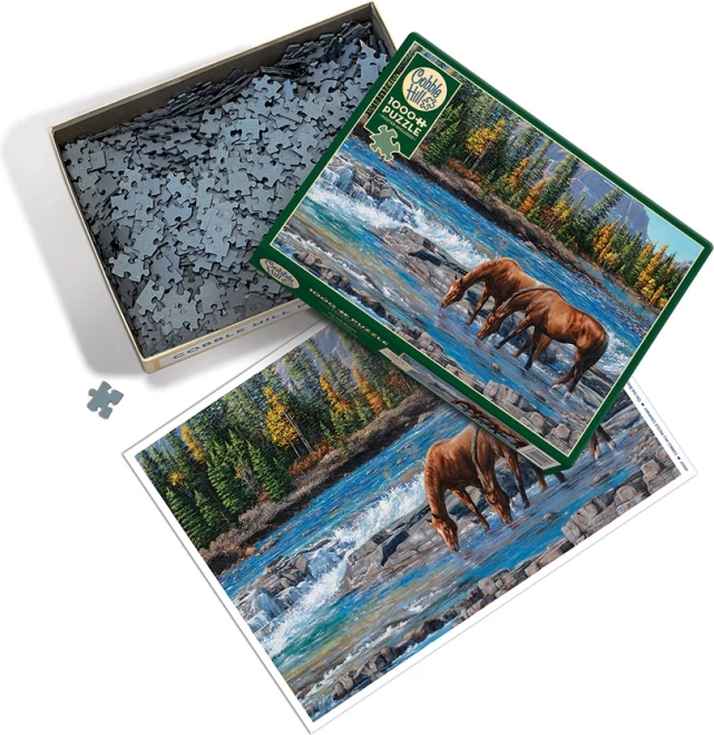 Puzzel Skalnatý brod van Cobble Hill - 1000 stukjes