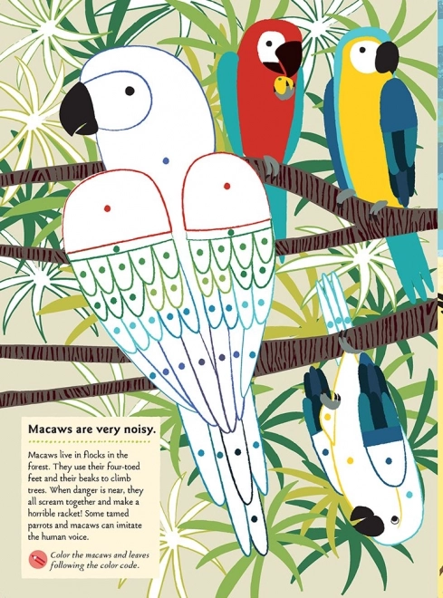 Chronicle Boeken Activiteitenboek met stickers mijn natuur Vogels van de wereld
