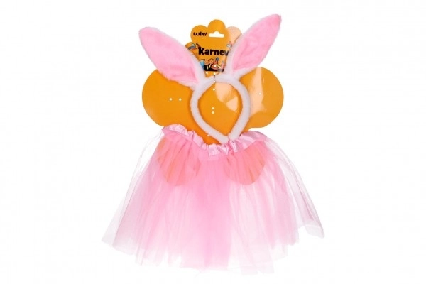 Set carnaval - roze konijntje