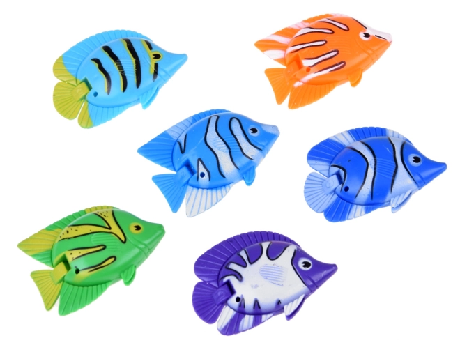 6 colorful fish