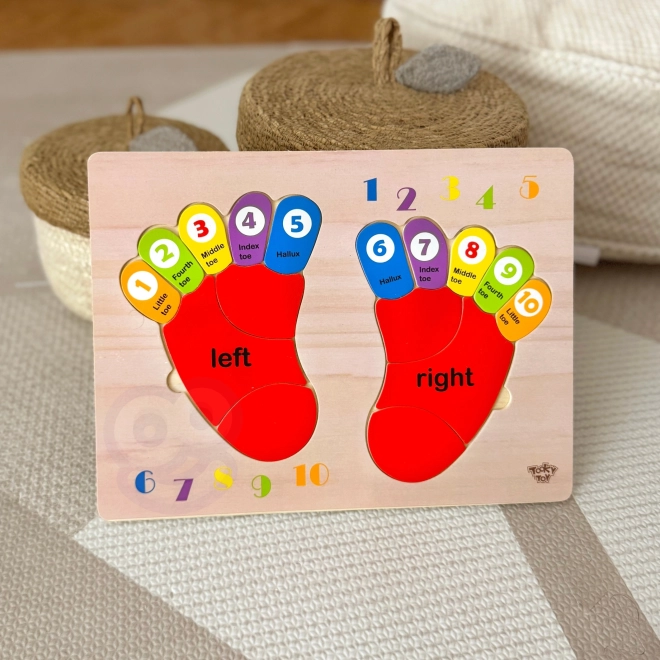 TOOKY TOY Lernpuzzle aus Holz - Zahlen und Farben lernen