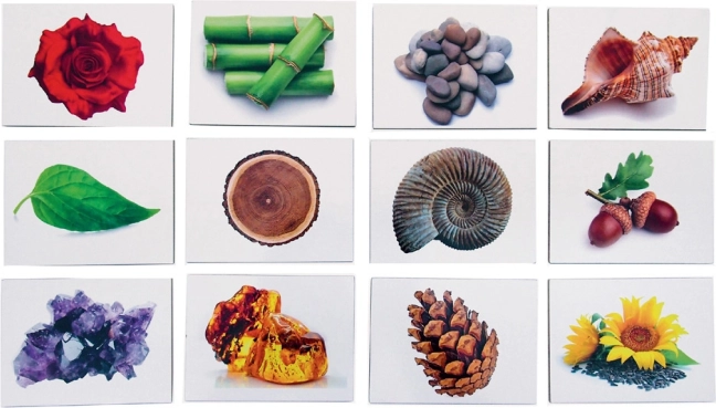 Nature themes