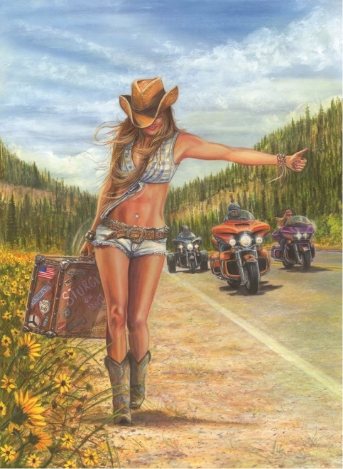 Puzzle American Gypsy 1000 pièces