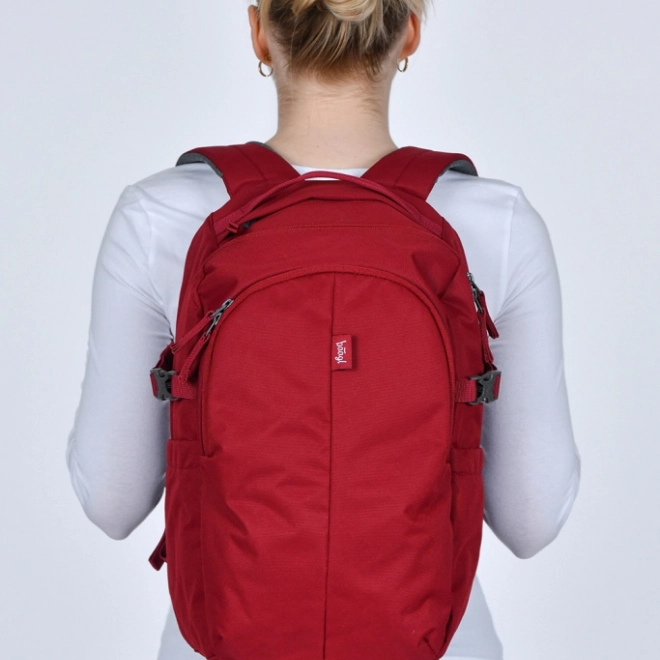 Baagl rugzak Dash bordeaux