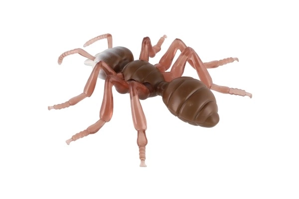 Anti-stress Ant