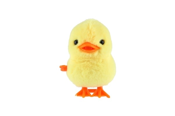 Springende eend opwinden