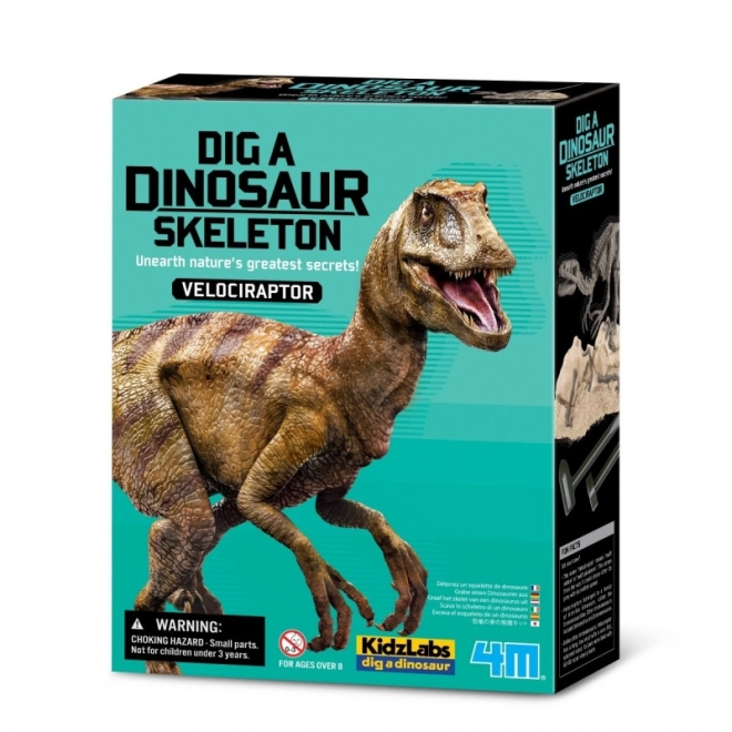 Kit de fouilles - Vélociraptor