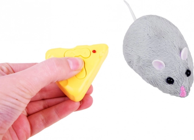Interactive fun for cats and kids