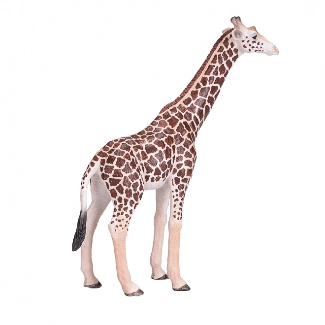 Mojo Dieren Planeet giraffe wijfje