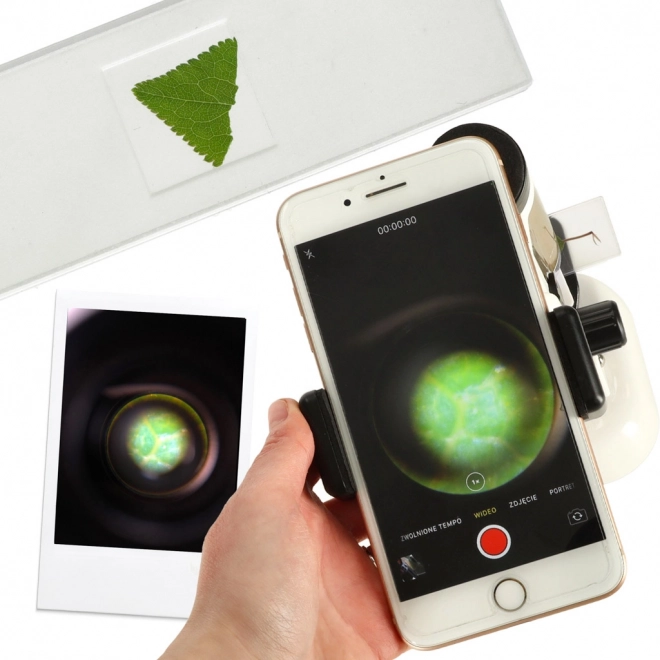 Educational Microscope for Kids