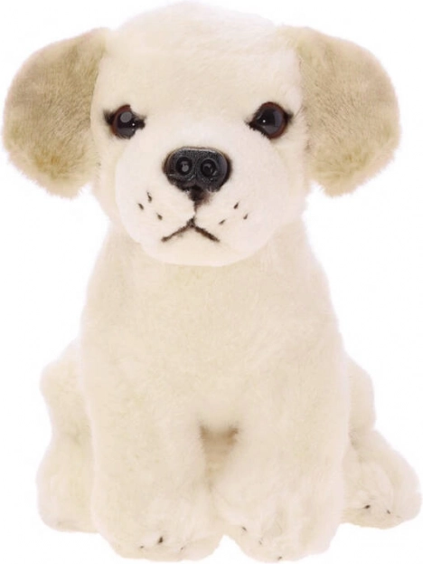 Sitting Plush Labrador