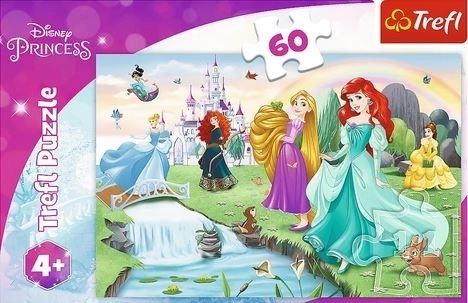 Puzzel Ontmoet de prinsessen 33x22cm 60 stukjes in doos 21x14x4cm