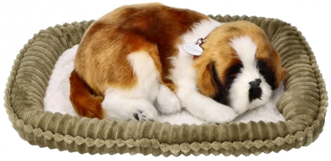 Ademend pluchen Sint-Bernard puppy