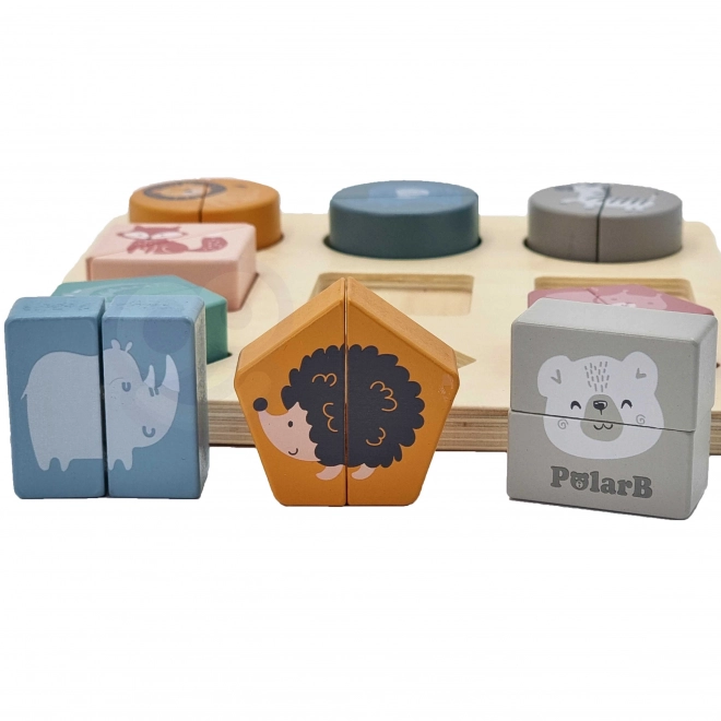 Shape Puzzle PolarB