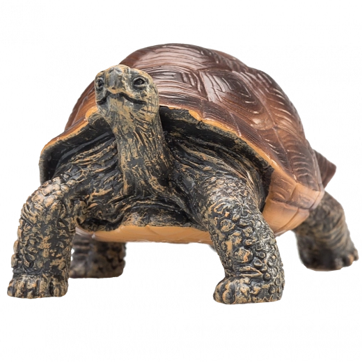 Mojo Figur – Riesenschildkröte – realistische Tierfigur
