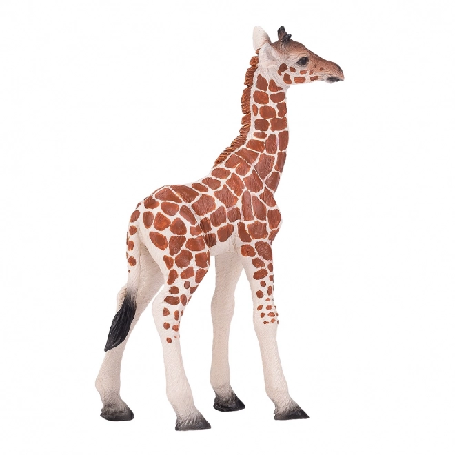 Mojo girafje jong