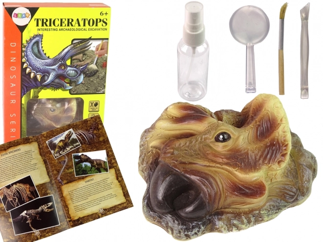 Educatieve opgravingsset Triceratops