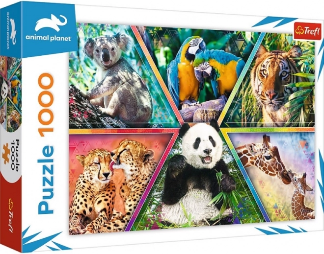1000-Piece Puzzle – Animal Kingdom ANIMAL PLANET