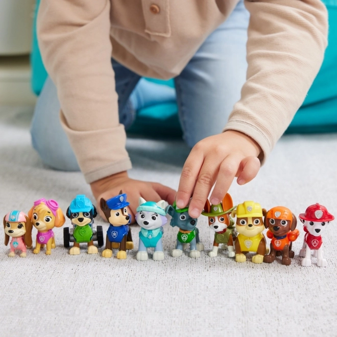 Figurenset Paw Patrol - Alle Welpen an Bord