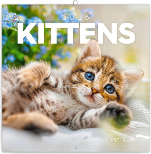 Notitie-kalender Kittens 2026