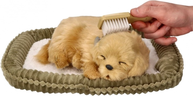 Adopt a Breathing Golden Retriever Puppy