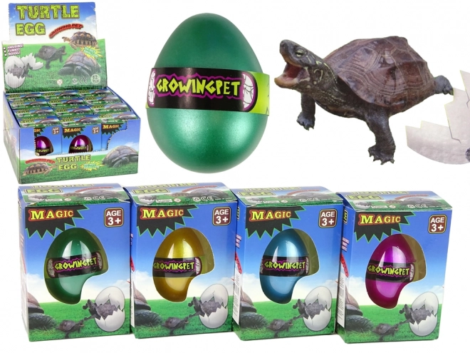 Magisch Schildpad Ei dat Groeit 6 cm