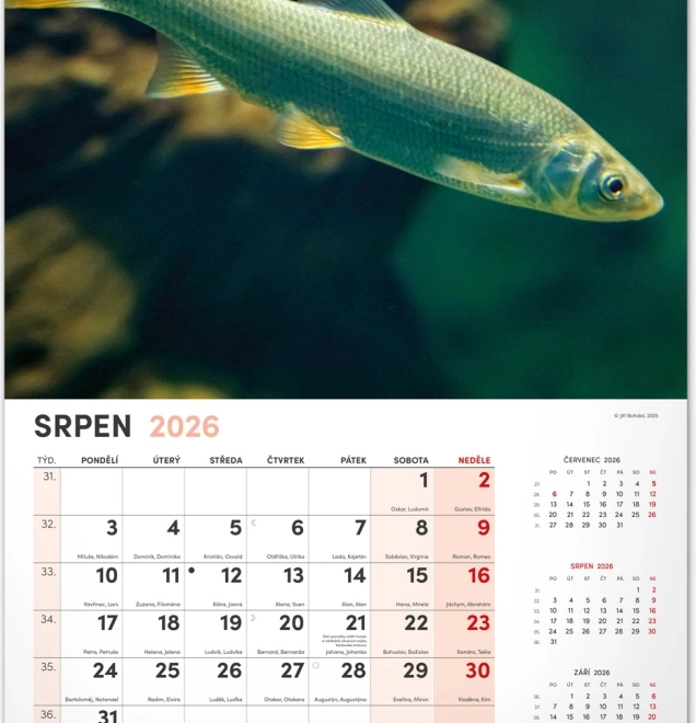 Wandkalender Visserij 2026