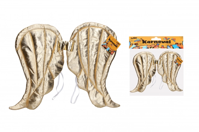 Set carnaval - gouden vleugels